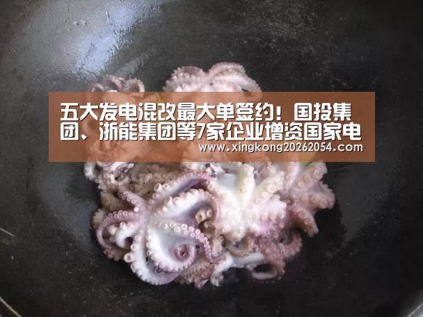 五大发电混改最大单签约!国投集团、浙能集团等7家企业增资国家电投黄河水电【星空登录】(图1) 星空电竞