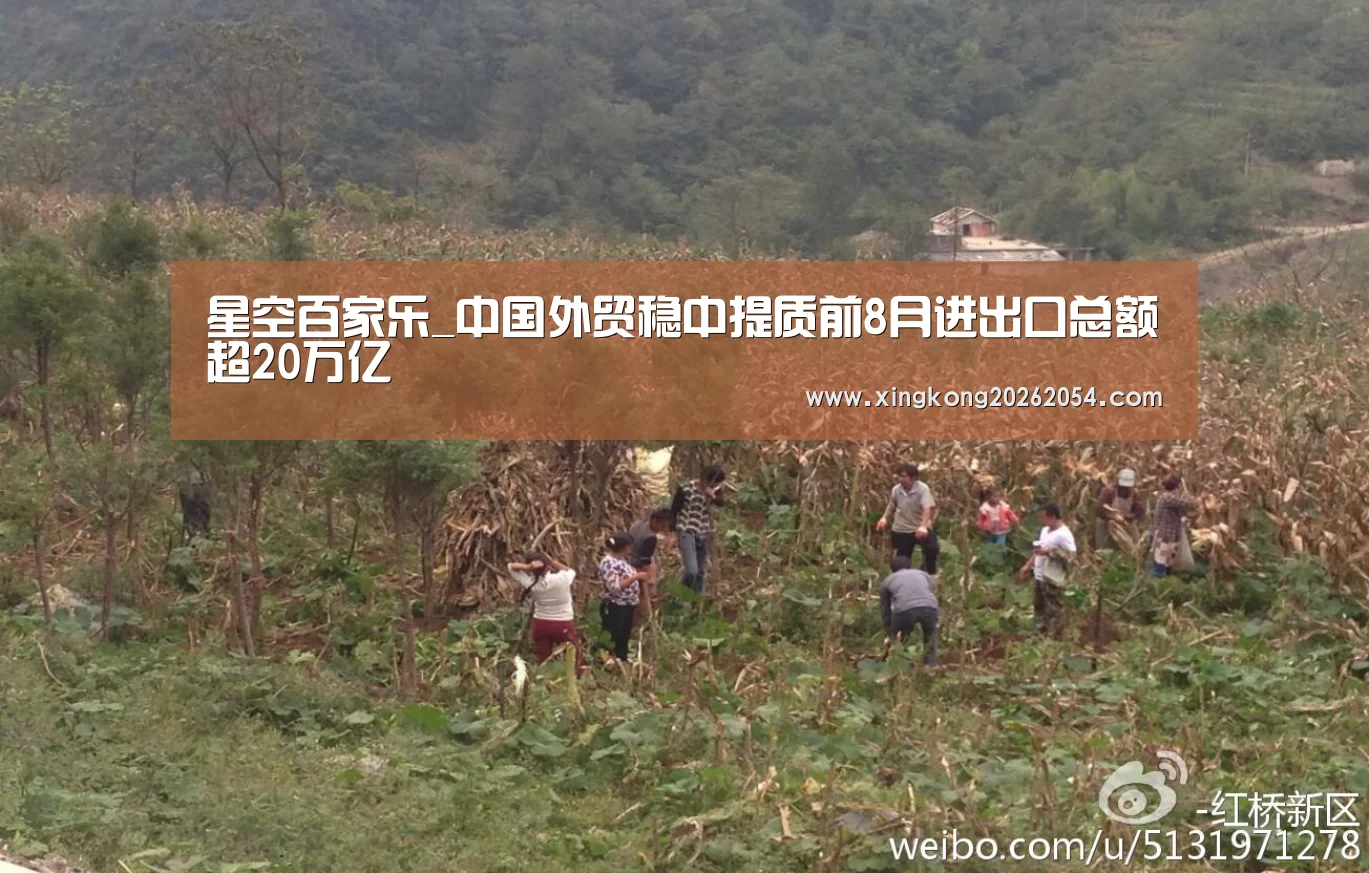 星空百家乐_中国外贸稳中提质前8月进出口总额超20万亿(图2) 星空电竞