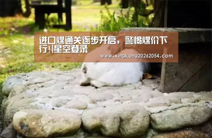 星空登录