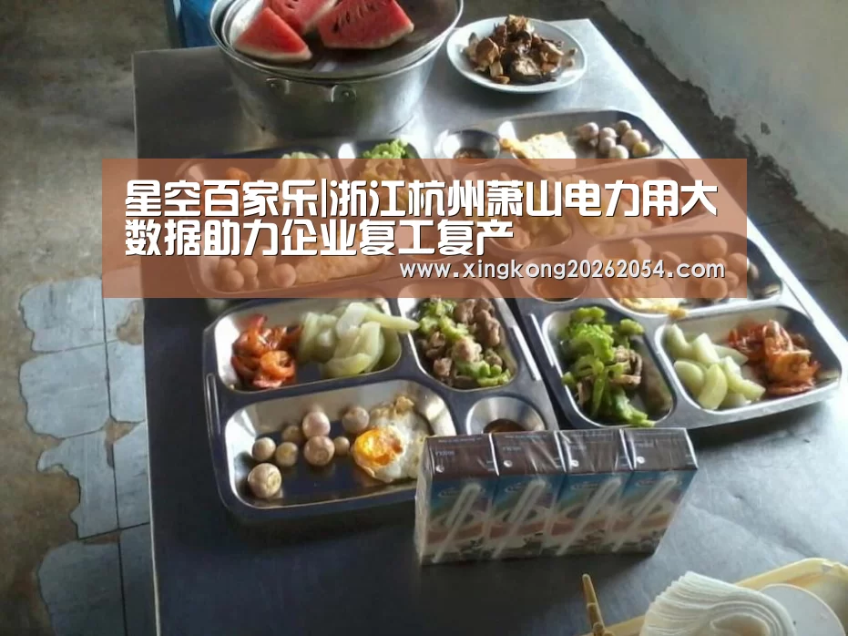星空百家乐|浙江杭州萧山电力用大数据助力企业复工复产(图2) 星空电竞