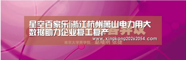 星空百家乐|浙江杭州萧山电力用大数据助力企业复工复产(图3) 星空登录
