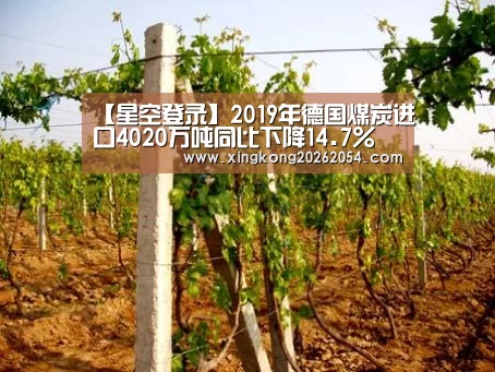 【星空登录】2019年德国煤炭进口4020万吨同比下降14.7%(图1) 星空百家乐