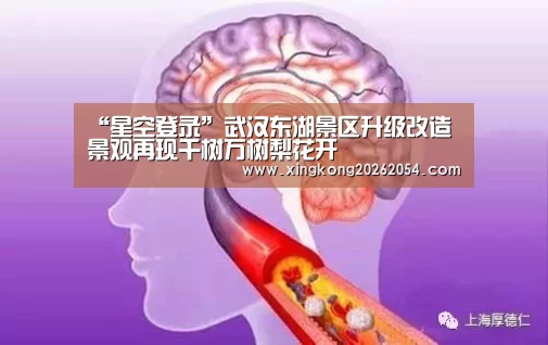 “星空登录”武汉东湖景区升级改造景观再现千树万树梨花开(图3) 星空电竞